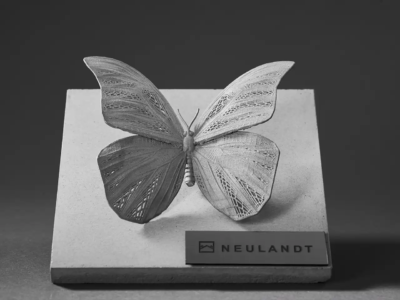 Trivion Referenz NEULANDT Schmetterling aus Metall